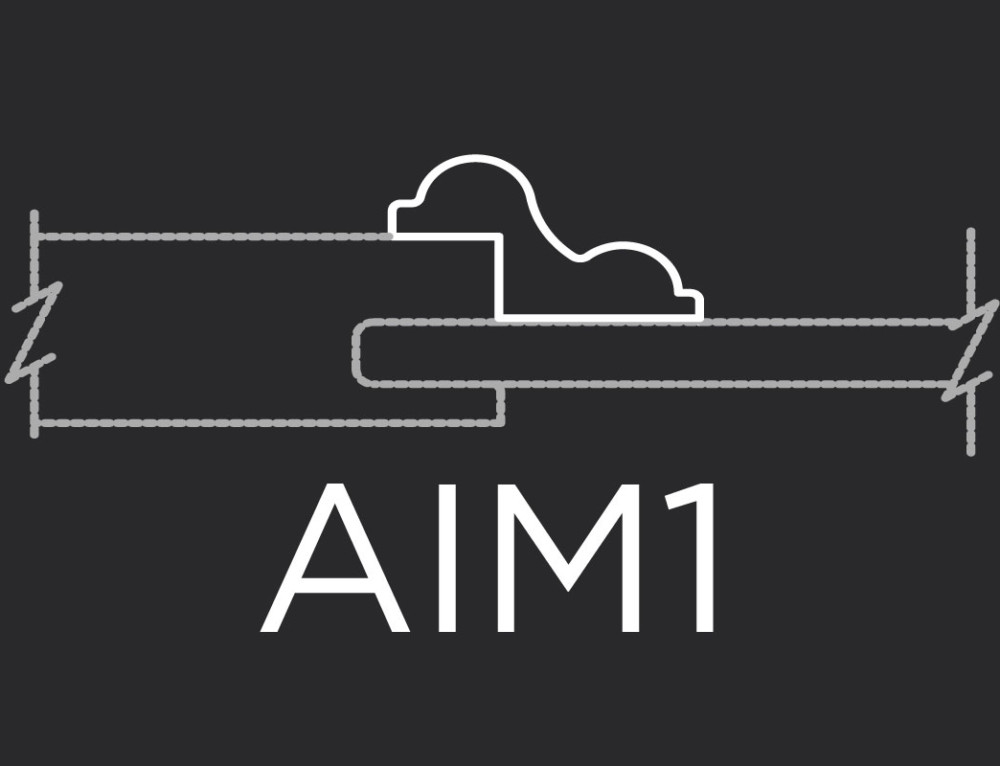 AIM1