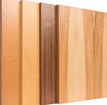 TaylorCraft Cabinet Door Company modern edgebanded veneer cabinet doors