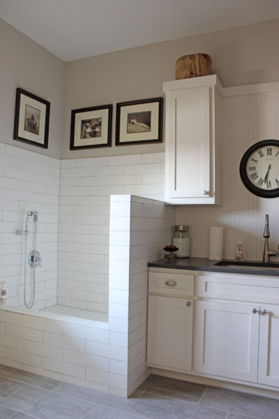 Laundry room with built in dog shower