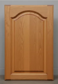 arched raised panel door