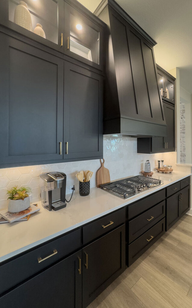 Black kitchen cabinets with Shaker cabinet doors in OE4, IE2 with flat panel