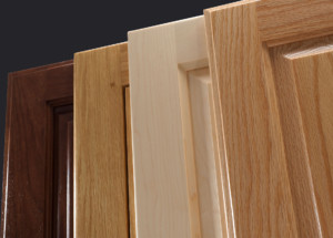 4 cope and stick raised panel cabinet doors by TaylorCraft Cabinet Door Company