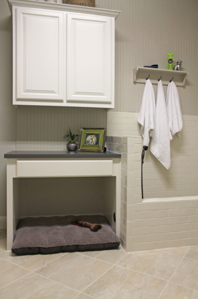 Dog shower and bed in the laundry room