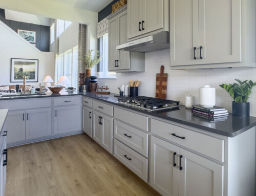 Light Gray Kitchen Shaker Cabinet Doors