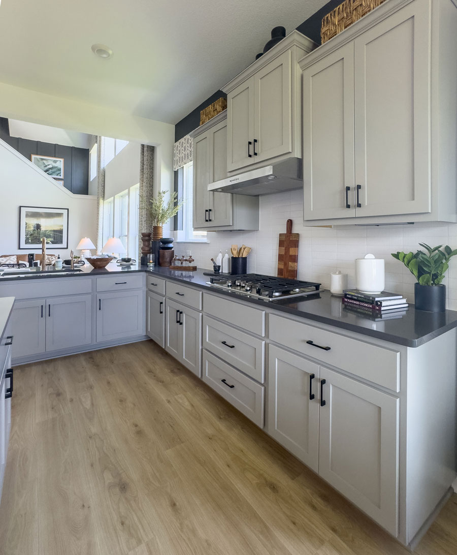 Transitional kitchen cabinets with Shaker doors OE5, IE2 door profiles